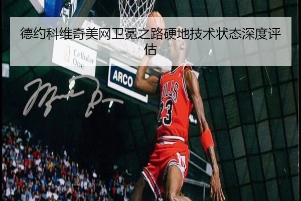 de-yue-ke-wei-qi-mei-wang-wei-mian-zhi-lu-ying-di-ji-shu-zhuang-tai-shen-du-ping-gu-2-110.jpg