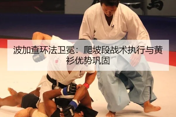 bo-jia-cha-huan-fa-wei-mian-pa-po-duan-zhan-shu-zhi-xing-yu-huang-shan-you-shi-gong-gu-2-166.jpg