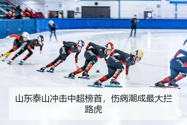 shan-dong-tai-shan-chong-ji-zhong-chao-bang-shou-shang-bing-chao-cheng-zui-da-lan-lu-hu-3-848.jpg