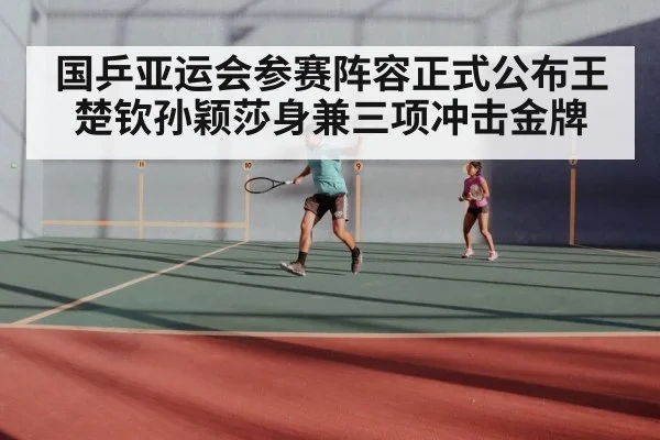 国乒亚运会参赛阵容正式公布王楚钦孙颖莎身兼三项冲击金牌