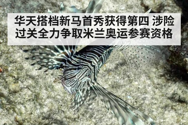 华天搭档新马首秀获得第四 涉险过关全力争取米兰奥运参赛资格